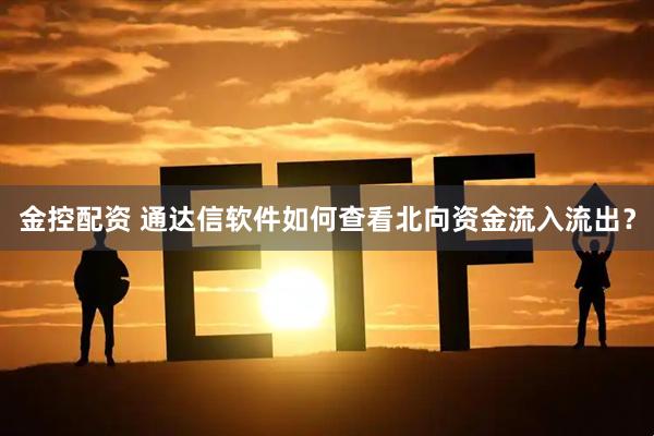 金控配资 通达信软件如何查看北向资金流入流出？