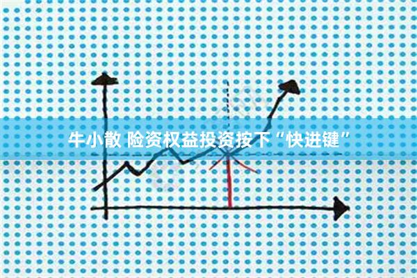 牛小散 险资权益投资按下“快进键”