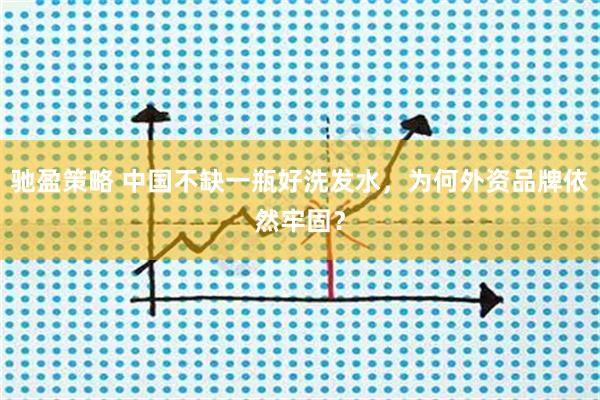 驰盈策略 中国不缺一瓶好洗发水，为何外资品牌依然牢固？